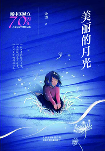 美麗的月光