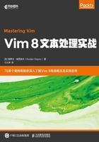 Vim 8文本处理实战