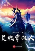 灵域掌权人在线阅读