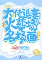 大佬追妻火葬場名場面在線閱讀