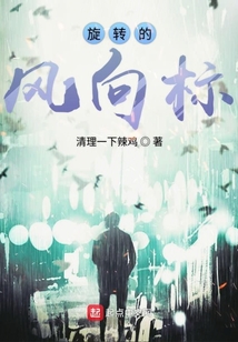 旋轉(zhuǎn)的風(fēng)向標(biāo)
