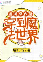 當滿級大佬穿到魔法世界在線閱讀
