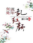 何處流年亂紅顏在線閱讀