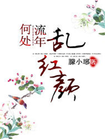 何處流年亂紅顏