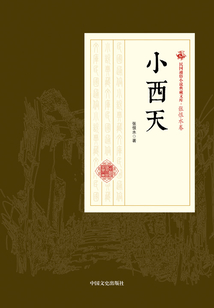 小西天(民國通俗小說典藏文庫·張恨水卷)