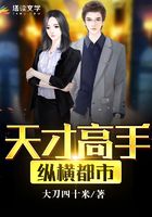 天才高手纵横都市在线阅读