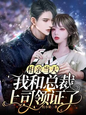 相亲当天，我和总裁上司领证了在线阅读