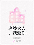 老婆大人，我爱你在线阅读