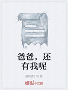 爸爸,还有我呢在线阅读