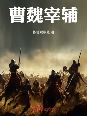 曹魏宰辅在线阅读