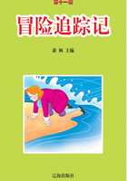 冒险追踪记在线阅读