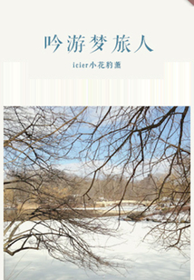 吟游夢旅人（千種豆瓣高分原創作品·在他鄉）