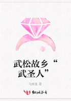武松故鄉(xiāng)“武圣人”在線閱讀