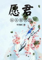 愿君似水我似月在線閱讀