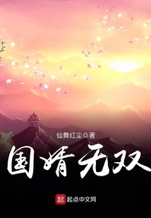 國婿無雙