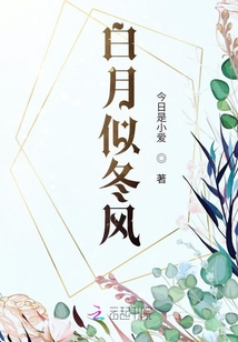 白月似冬風(fēng)
