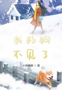 我的狗不見了