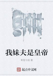 我妹夫是皇帝