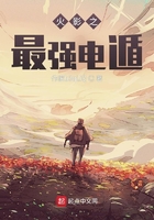 木叶之最强电遁在线阅读