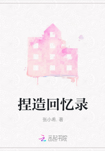 捏造回憶錄