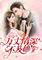 萬(wàn)丈情深不及他在線閱讀