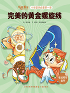 完美的黄金螺旋线(你好,数学·小学数学启蒙第一课)在线阅读
