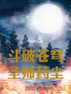 斗破苍穹:圣师药尘在线阅读