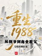 重生1988:从倒爷到商业教父在线阅读