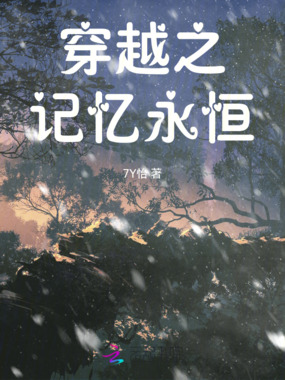 穿越之：记忆永恒在线阅读