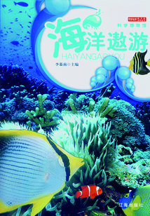 海洋遨游
