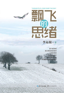 飘飞的思绪