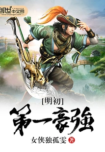 明初第一豪强 封面