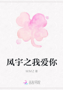 風宇之我愛你