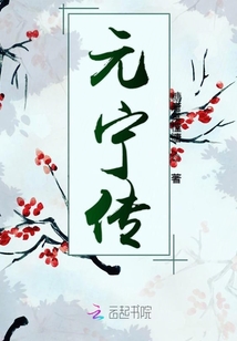 元宁传