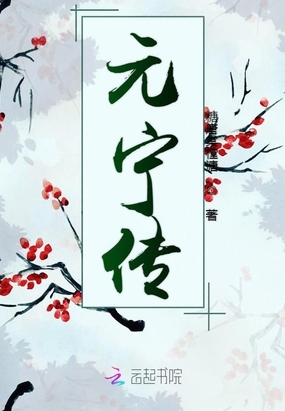 元宁传在线阅读
