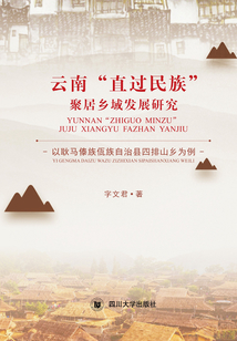 云南“直過民族”聚居鄉域發展研究：以耿馬自治縣四排山佤族鄉為例