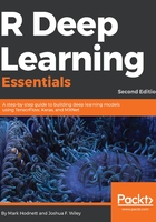 R Deep Learning Essentials