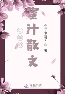 佐辭的蜜汁散文