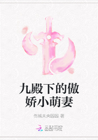 九殿下的傲娇小萌妻