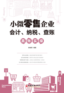 小微零售企業會計、納稅、查賬真賬實操