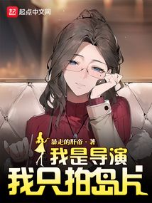 我是导演,我只拍岛片