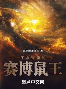 下水道里的賽博鼠王