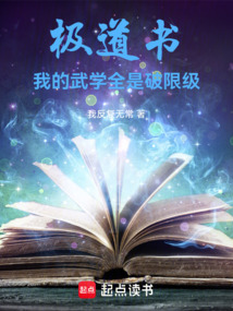极道书,我的武学全是破限级