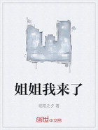 姐姐我来了在线阅读