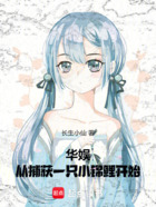 华娱:从捕获一只小锦鲤开始!在线阅读