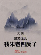 大明:建文侄儿,我朱老四反了在线阅读