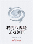 我的武魂是无双剑匣在线阅读