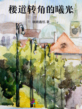 楼道转角的曦光在线阅读