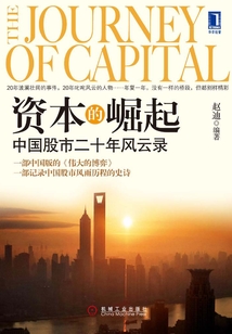 資本的崛起：中國股市二十年風云錄
