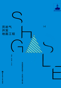 頁(yè)巖氣開(kāi)發(fā)地面工程